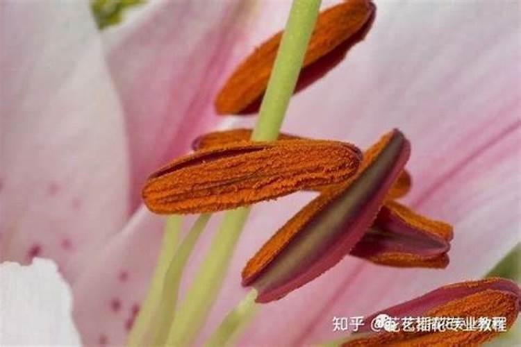 硝酸磷钾肥的缺点与优点