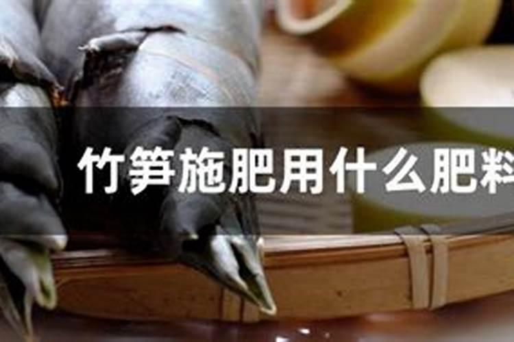 竹笋施肥用什么肥料