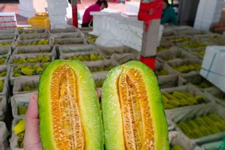 让甜瓜快速增甜的几种方法