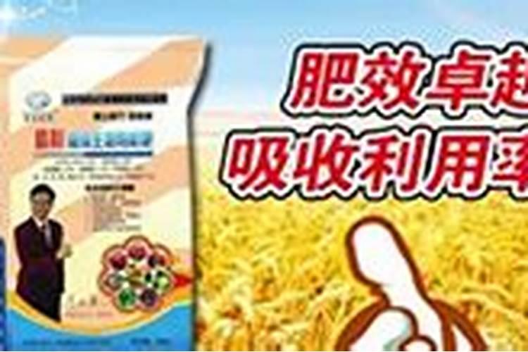莲藕膨大剂般能使用什么药剂