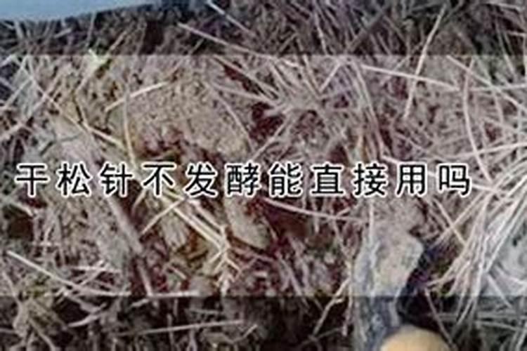 纯松针怎么发酵成花肥？