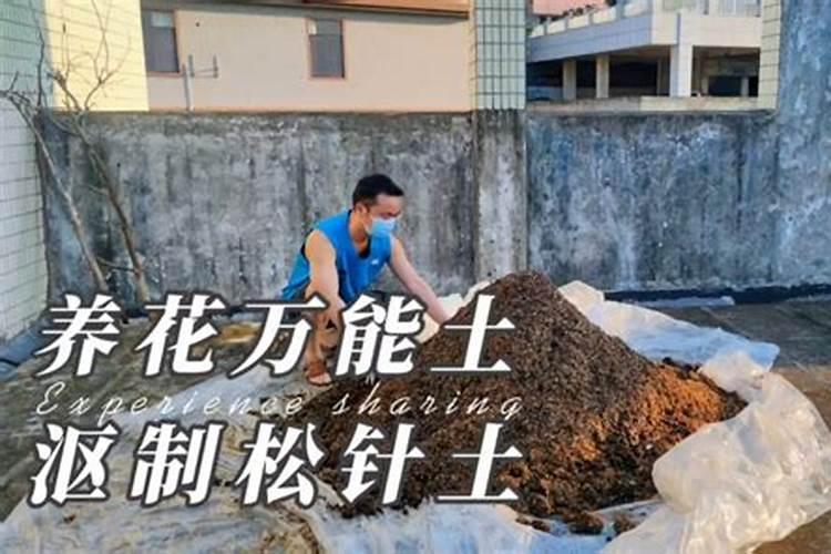 如何快速发酵松针土