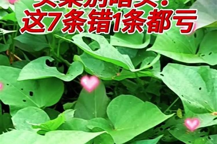 选购复合肥怎样辨别真假