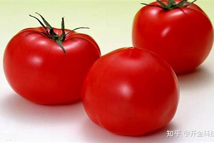 种植甜菜,注意些什么,能使甜菜的经济效益更加突出呢？