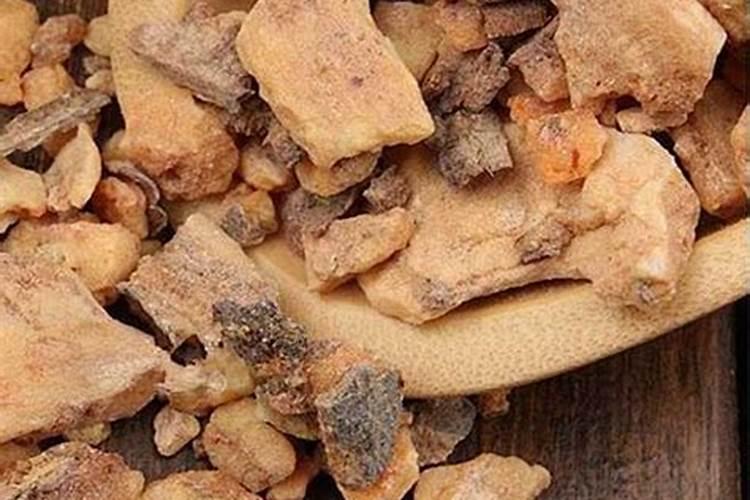 土沉香有哪些特征？