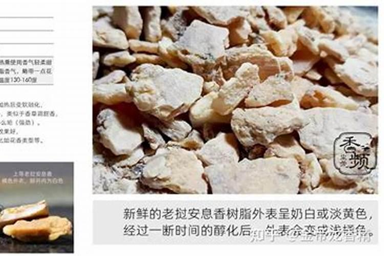 韭菜种子怎么种,韭菜播种方法