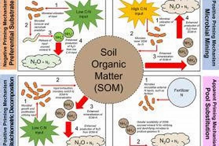 有机氮肥和无机氮肥的区别
