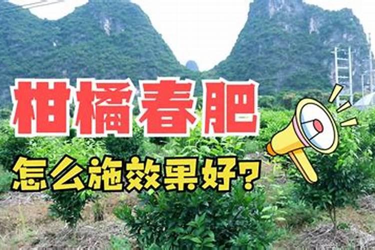 柑橘开花时期适合用啥肥料