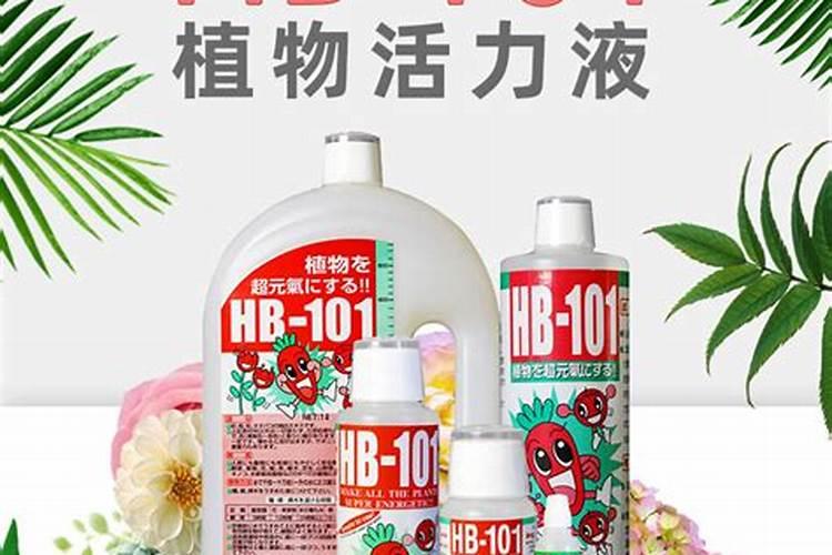 多肉植物用什么肥料比较好