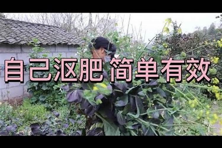 快速自制蔬菜肥料,蔬菜肥料有哪些