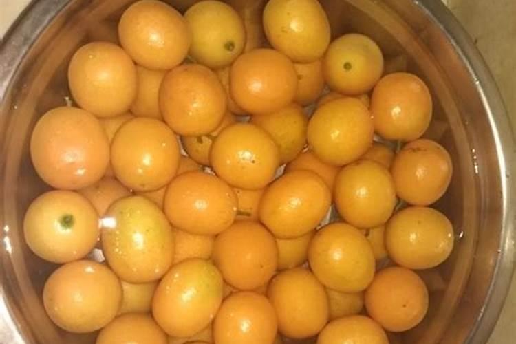糖化硼肥片真能防虫吗