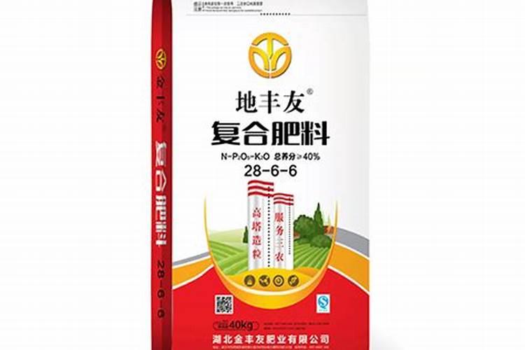 太原的火炬手都有谁？