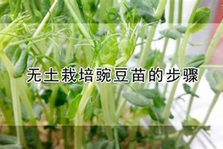 有机肥生产线的分类