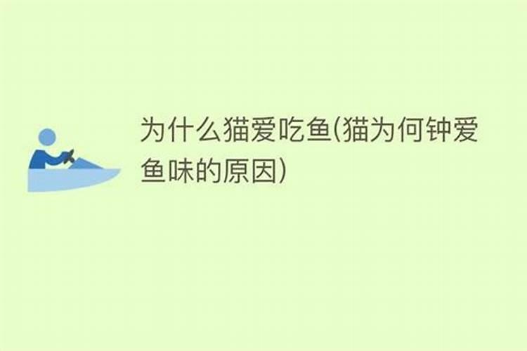 鱼蛋白自制配方