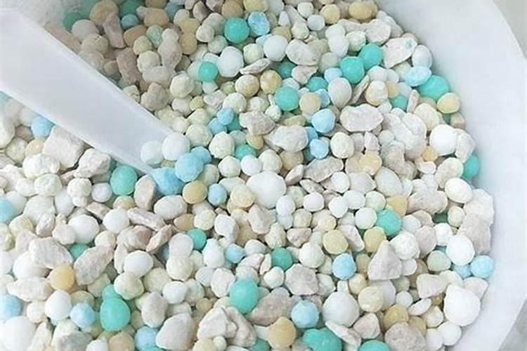 君子兰施什么肥最好 最好选用有机肥