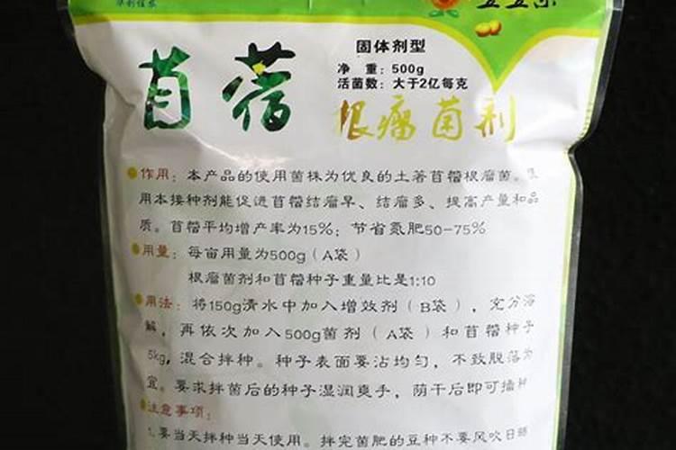 根瘤菌固氮原理是什么？