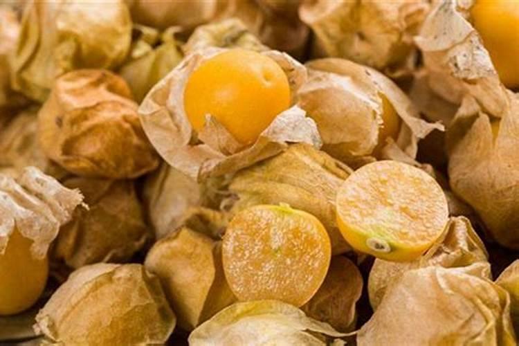 夏季嫁接桃树在什么时候最好？