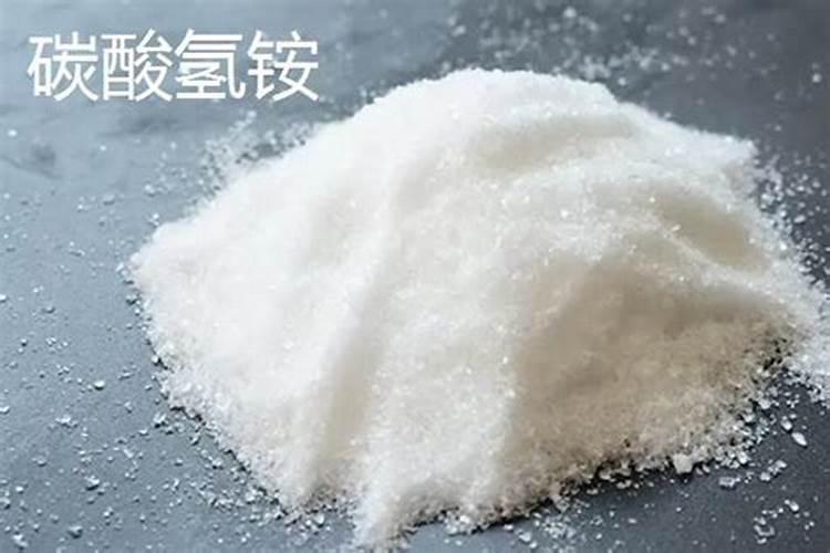 怎样给茶花浇水施肥？