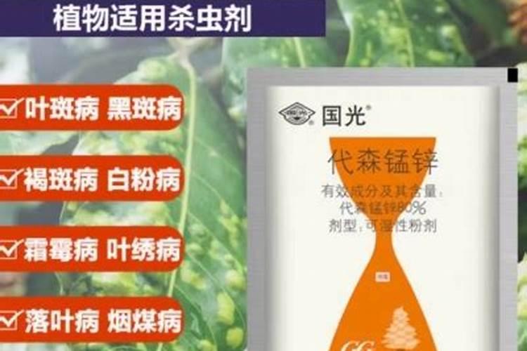 玉米最好叶面肥排名