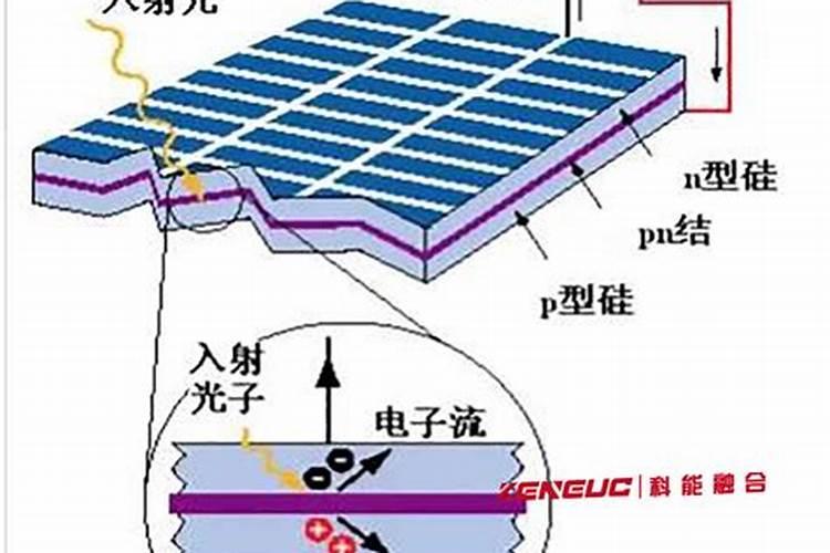 果菜疯子细胞能量剂叶面肥在大棚内甜瓜西瓜黄,究竟有那些特殊的功能与效...