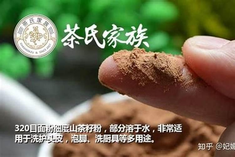 我在院子里中了很多石斛,不知道选什么肥料好？