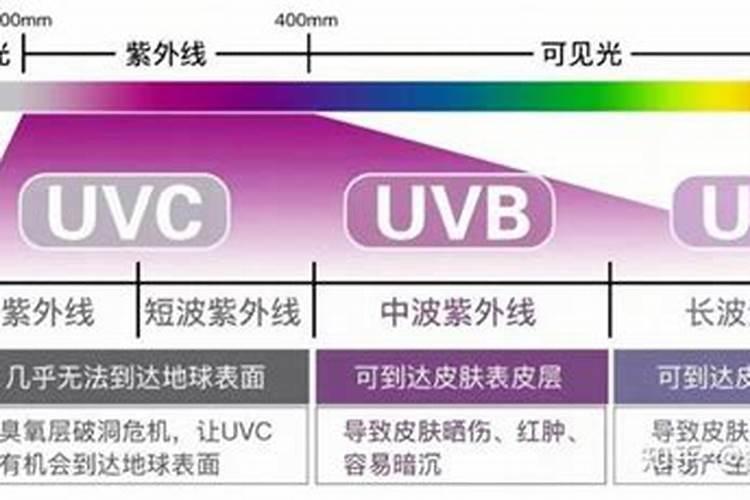 西红柿用什么肥料好