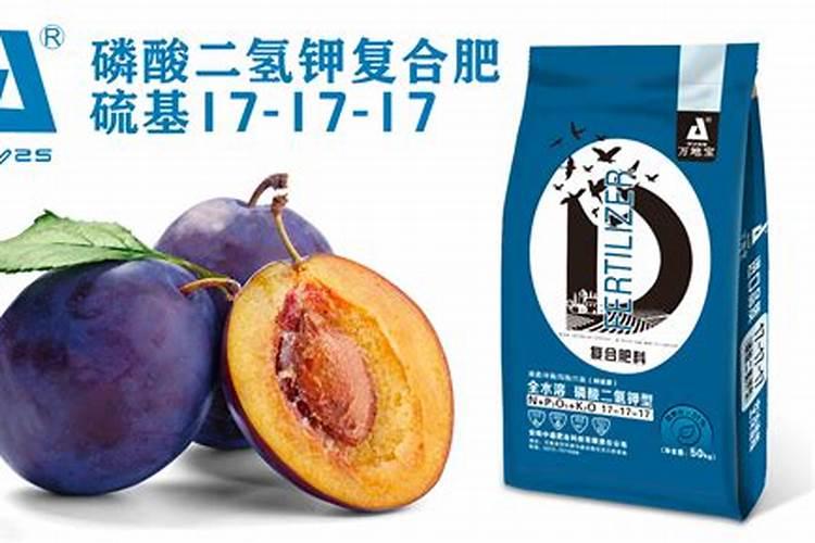 李树怎么施肥比较好 李树施肥时间和方法