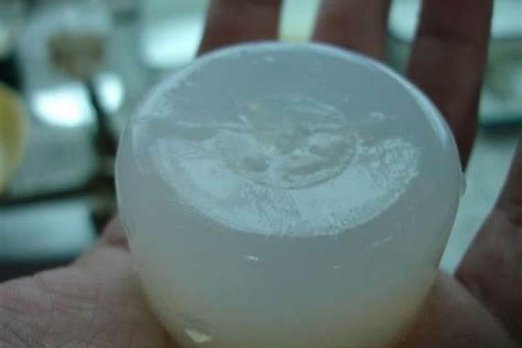 金线莲北方可以种植吗？