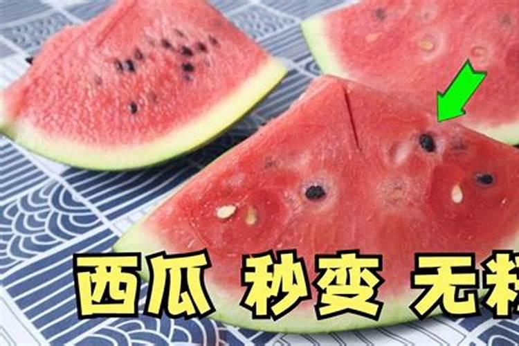 西瓜皮沤肥是氮肥还是钾肥
