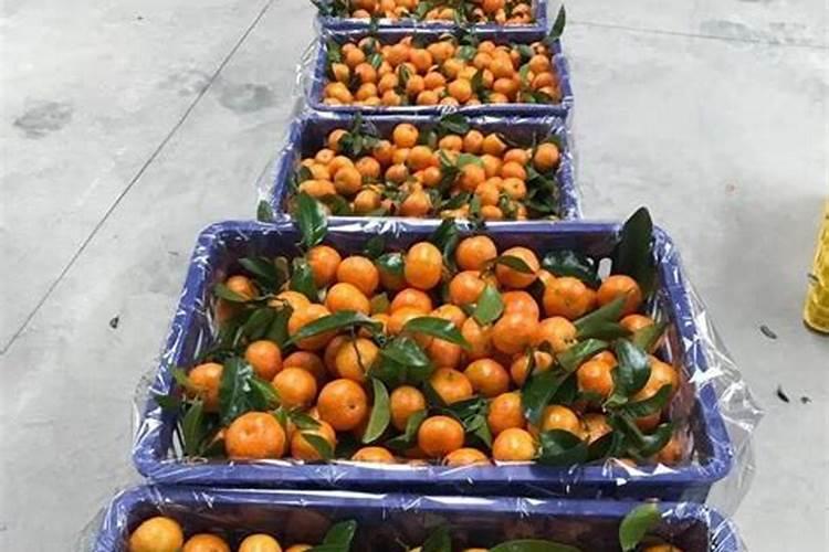 山东生物菌肥哪种最好