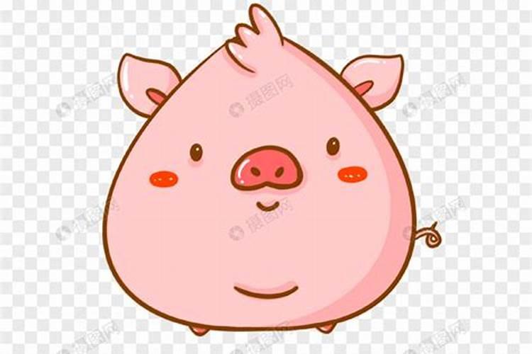 肥肥胖胖的生肖？