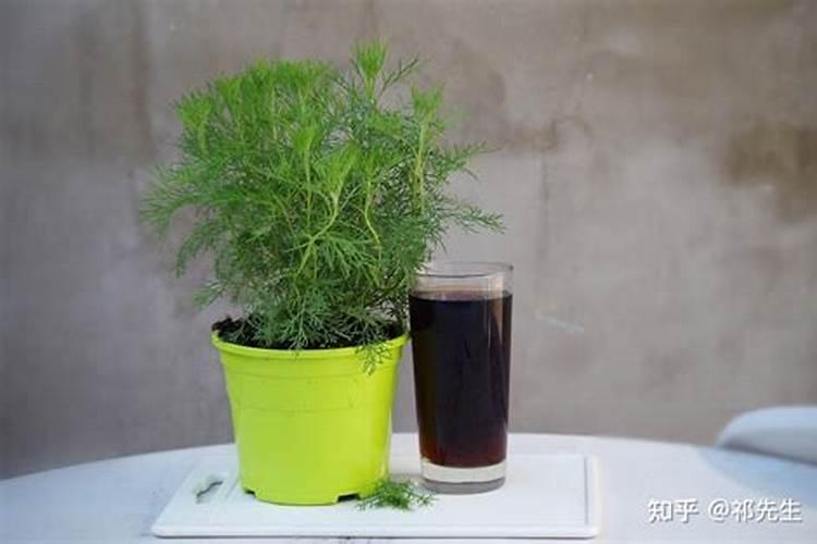 硼肥不能和什么一起用？如果使用错误会产生哪些影响？