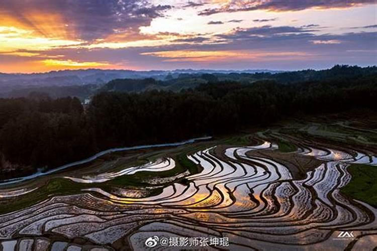 种植大棚草莓的话,一亩地需要投资多少钱呢？