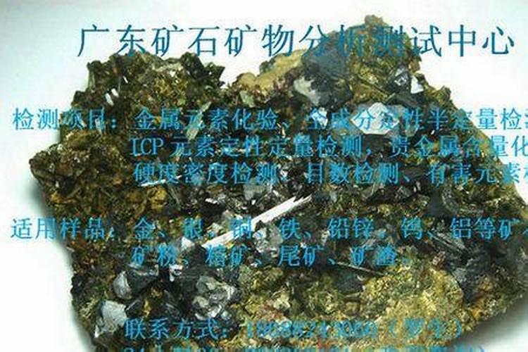 红掌花朵为什么会变绿