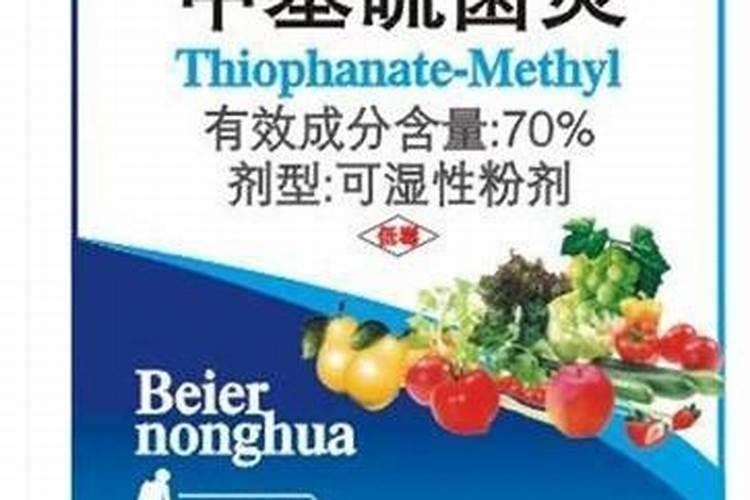 兰花防病怎样浇灌和喷叶面肥 谢谢朋友们