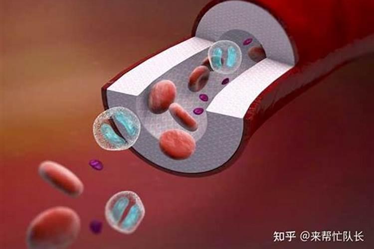 荒野求生5人血钾超标!这种元素如何锁定你的心跳和14亿人的饭碗？