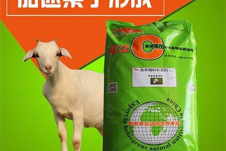 银杏的种类,及银杏叶,果的价值和价格