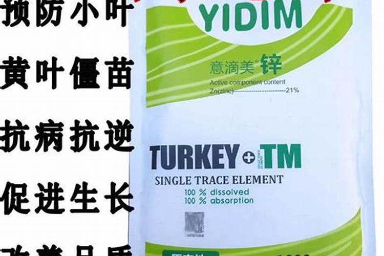 紫富贵竹怎么水养才旺盛,紫竹水养怎么养才能更旺盛