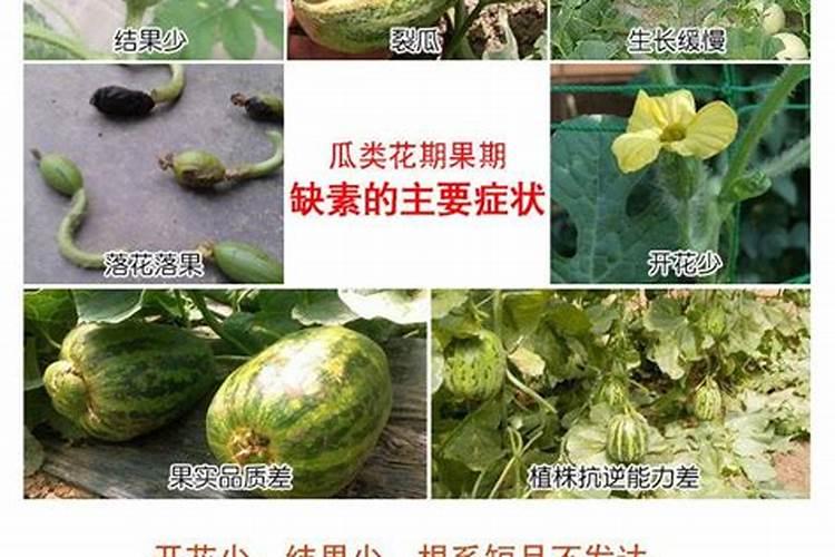乐高大颗粒教具名称