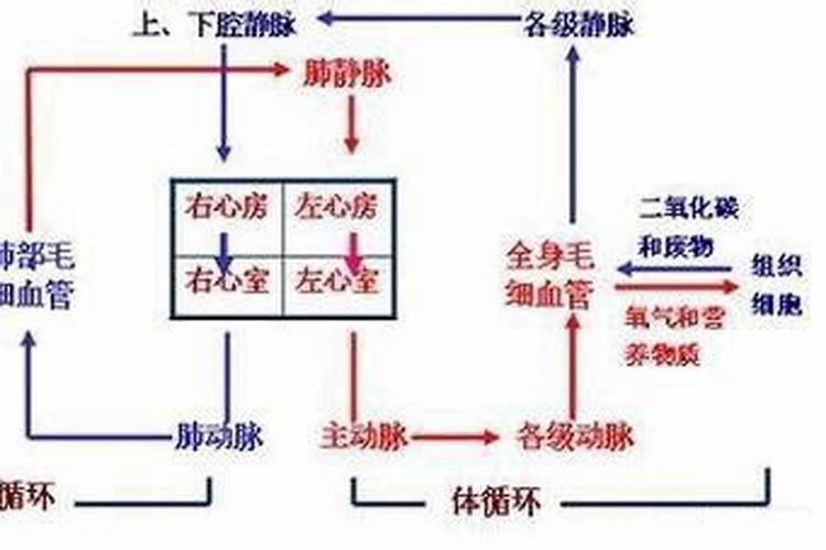 大量元素水溶肥料用法与用量