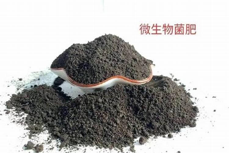 磷肥在果树上的运用
