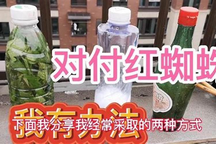 苹果树取袋前打什么农药