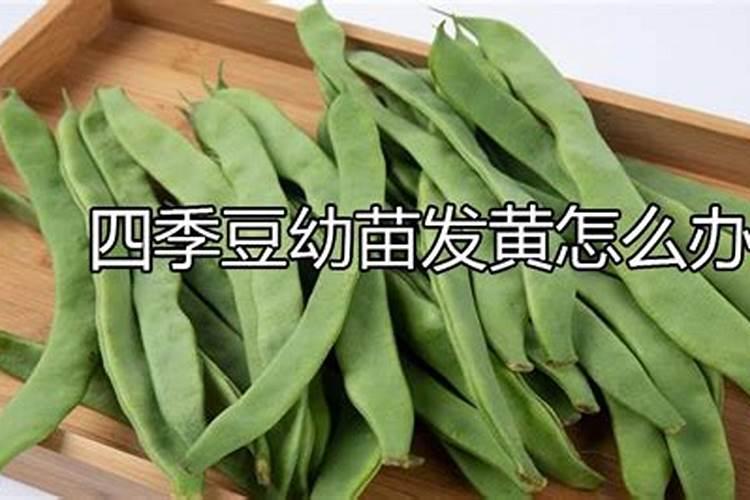 山东绿陇和奥丰哪家公司正规