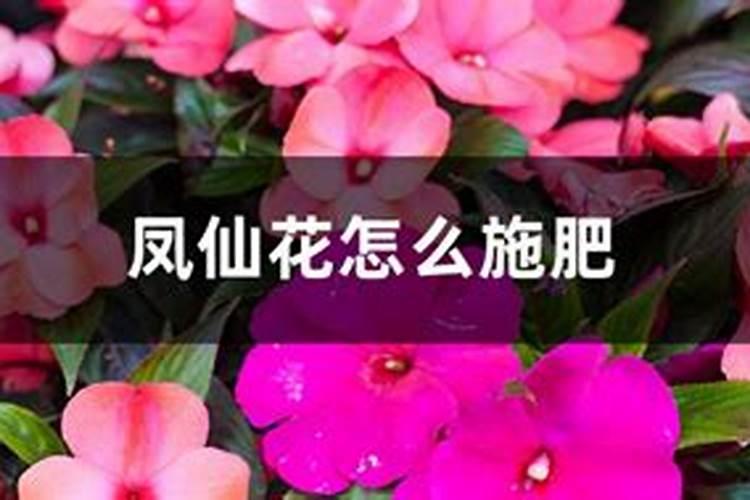 现在是夏天我家的玫瑰花因为水浇的太多枯萎的已经要死了我怎么能够把...