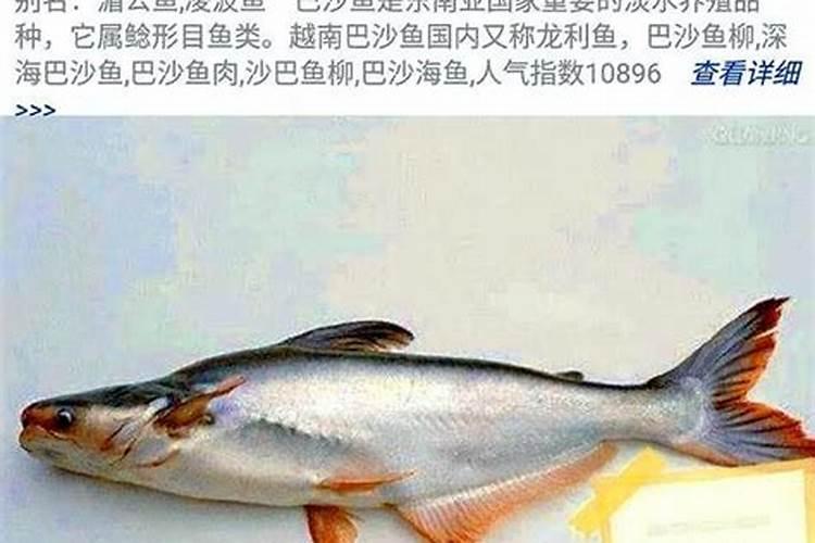 鱼饲料蛋白30与32的区别