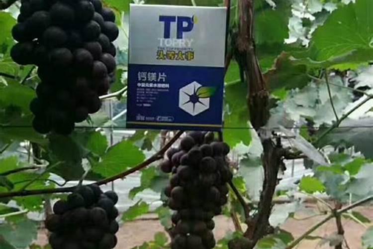 硝酸磷肥如何通过硝酸分解磷矿粉制成？