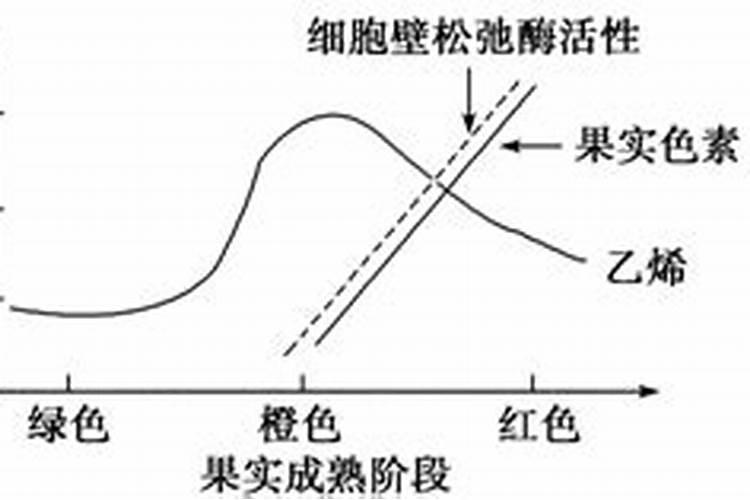 哪些蔬菜会产生乙烯
