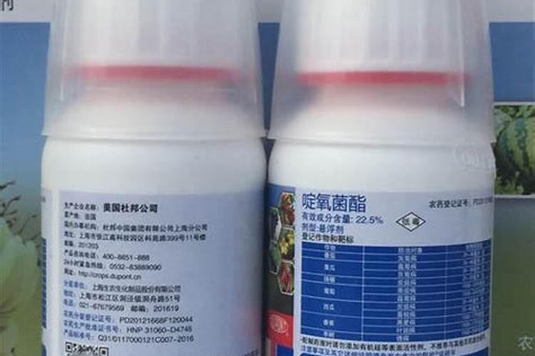 砂糖橘黄的地方有好多点点的水泡