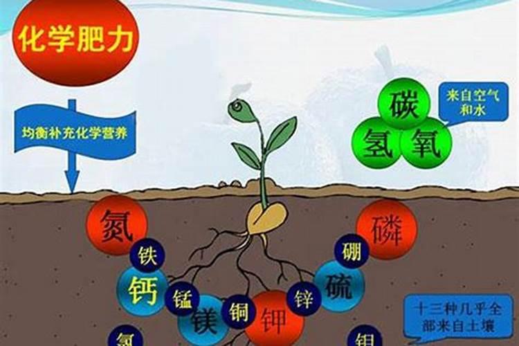 纯净水是否真的容易缺少微量元素？