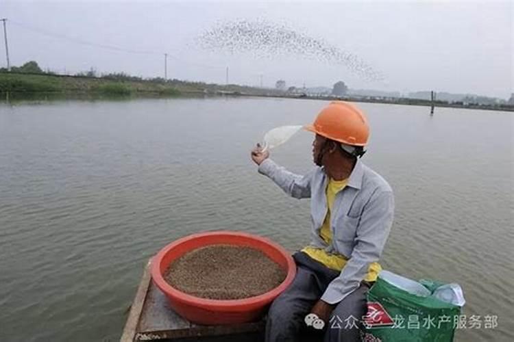 矮壮素可以控制菠菜旺长吗？